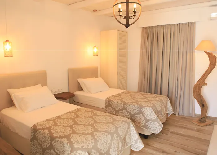 Theasis Luxury Schoinoussa