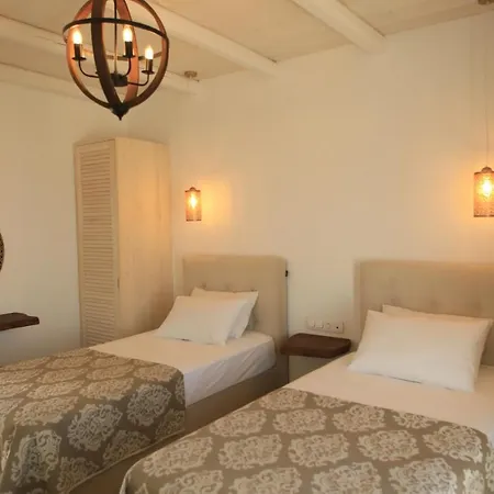 Hotel Theasis Luxury Schoinoussa